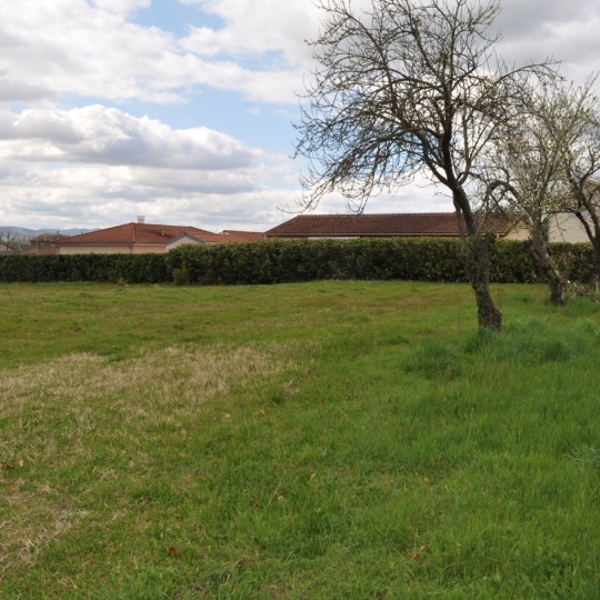 Annonces AIN RHONE : Ground | MONTMERLE-SUR-SAONE (01090) | m2 | 180 000 € 
