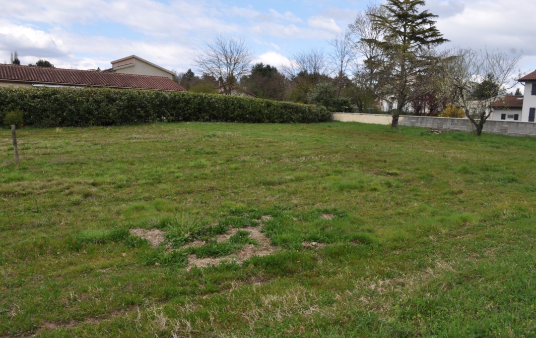 Annonces AIN RHONE : Terrain | MONTMERLE-SUR-SAONE (01090) | 0 m2 | 180 000 &euro; 