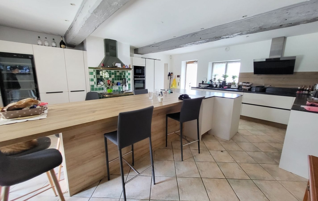 Annonces AIN RHONE : House | CHATILLON-SUR-CHALARONNE (01400) | 358 m2 | 590 000 &euro; 